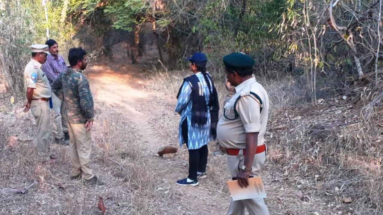 ముగిసిన శాకాహార జంతువుల గణన