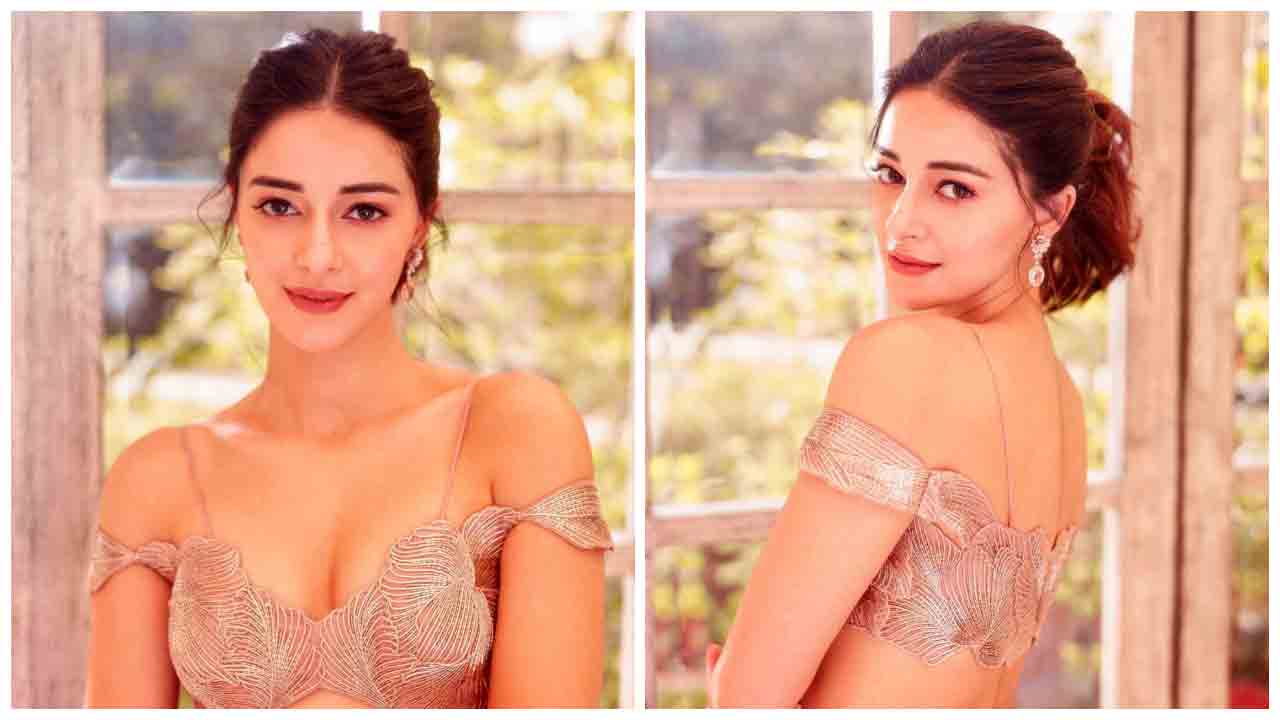 Ananya Panday | నాజూకు అందాలతో కుర్రకారు మనసుదోచేస్తున్న అనన్య పాండే..