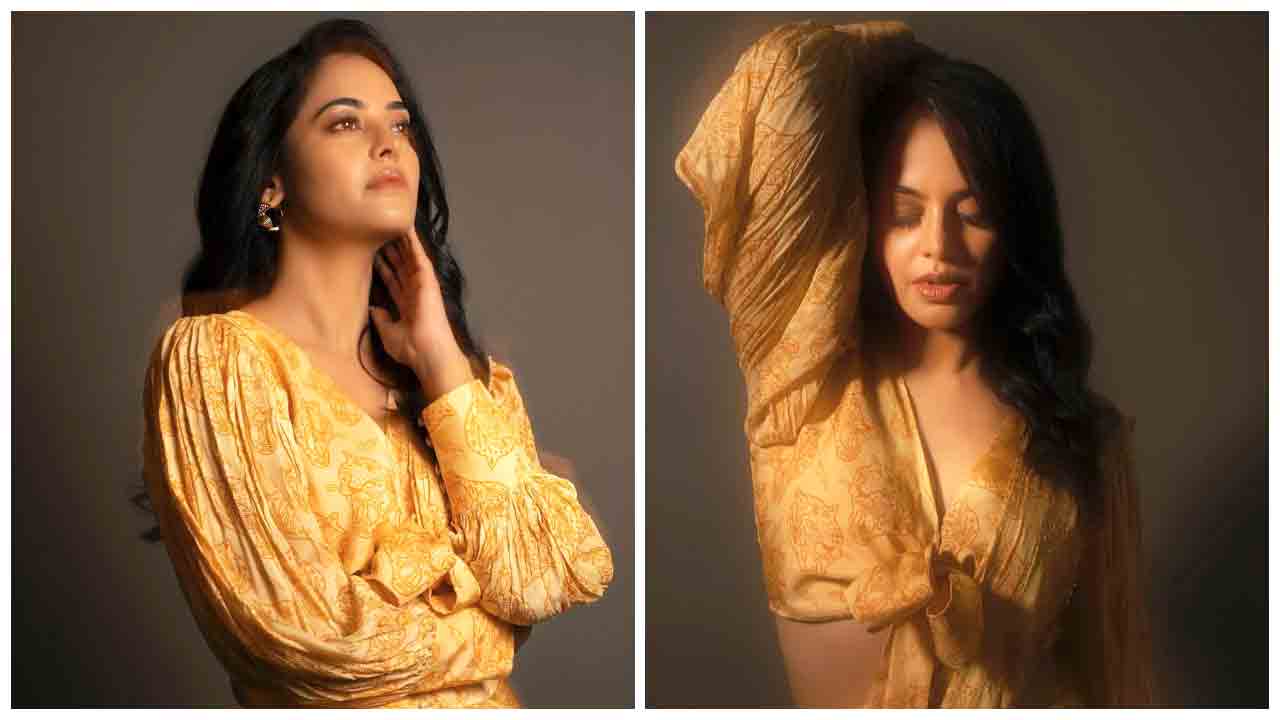 Bindu Madhavi | ఛాలెంజింగ్‌ పాత్రలకు నేను రెడీ..! బిందు మాధవి