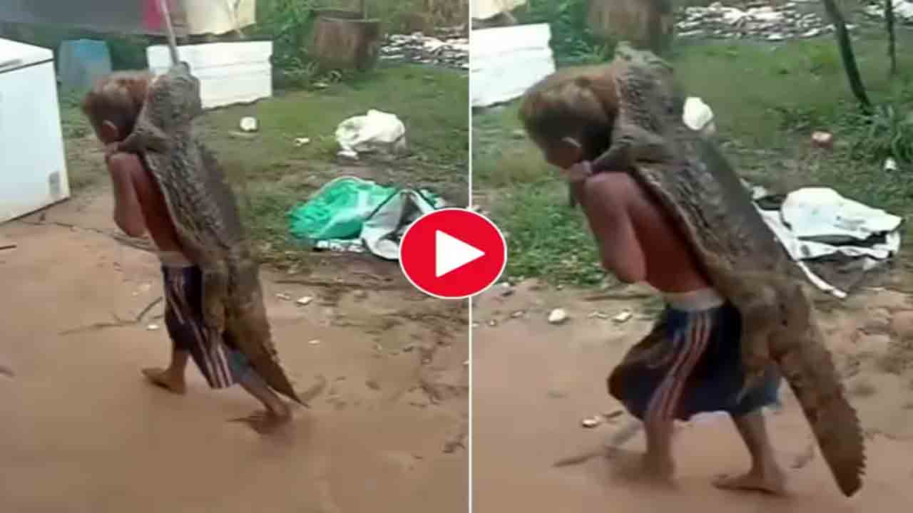 Boy Carries Crocodile | మొసలిని వీపుపై మోసుకెళ్లిన బాలుడు.. వీడియో వైరల్‌