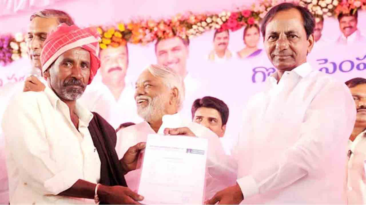 TS Cabinet | ఏప్రిల్‌ నుంచి రెండో విడుత గొర్రెల పంపిణీ.. 1.55 లక్షల మంది అడవిబిడ్డలకు పోడు పట్టాలు..