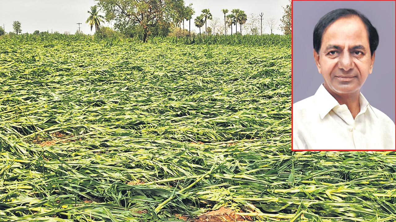 CM KCR | వర్ష ప్రభావిత ప్రాంతాలకు కాసేపట్లో సీఎం కేసీఆర్‌