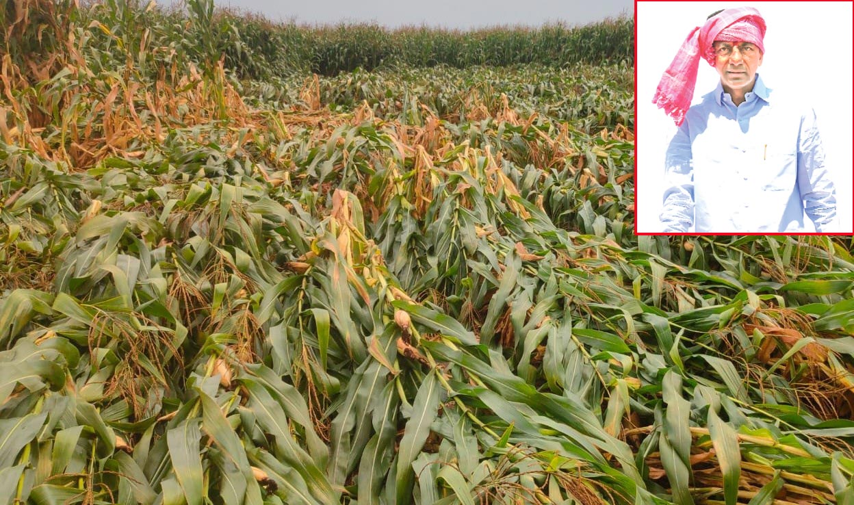 నేడు ఖమ్మం జిల్లాకు సీఎం కేసీఆర్‌