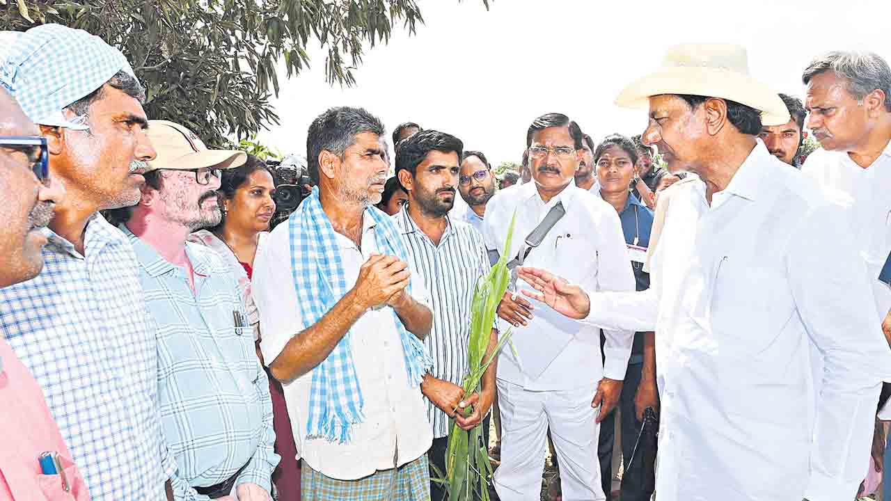 CM KCR | నేనున్నా.. ధైర్యం చెడొద్దు.. రైతులతో సీఎం కేసీఆర్‌ సంభాషణ
