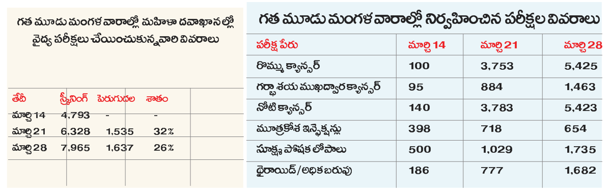 పట్టుకుంటారు