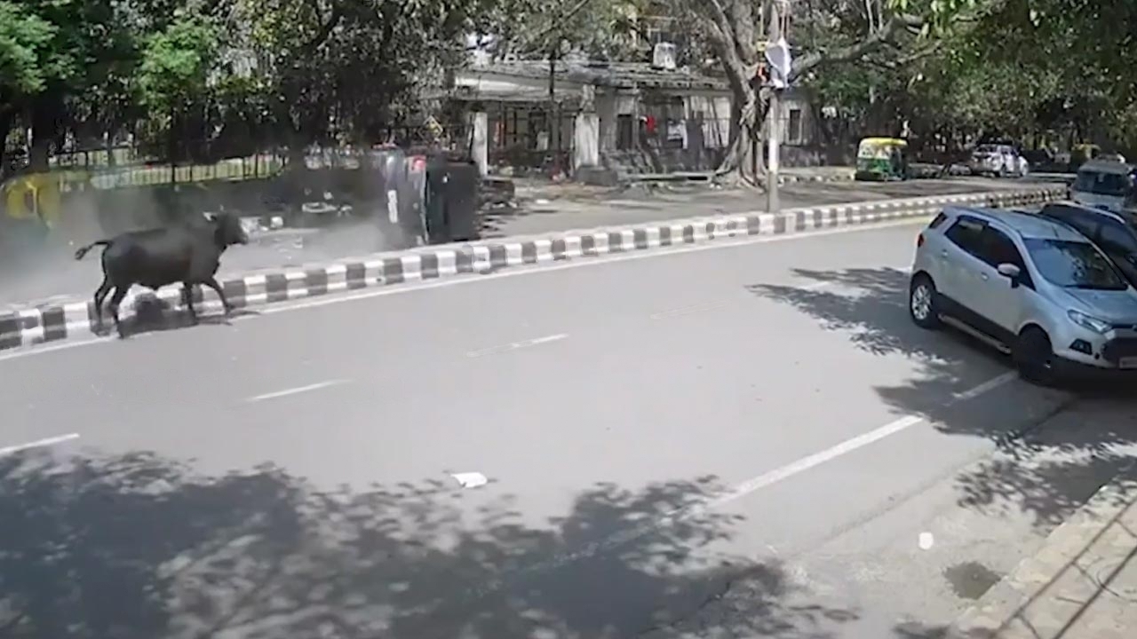 Viral Video | రోడ్డుపై ఫల్టీలు కొడుతూ దూసుకెళ్లిన కారు.. సినిమా స్టంట్‌ను తలపించిన ఘటన