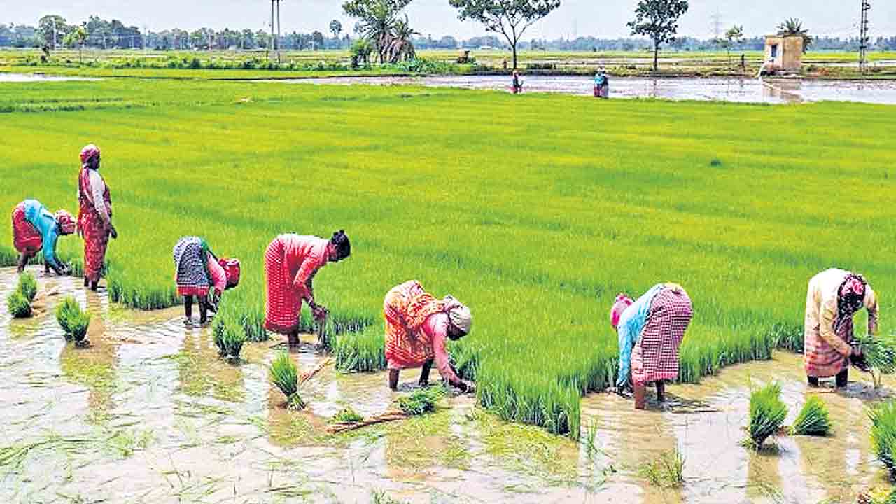 తెలంగాణలో సుస్థిర వ్యవసాయాభివృద్ధి