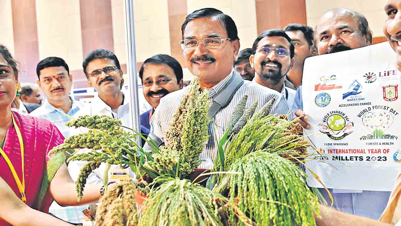 చిరుధాన్యాలతో ఆరోగ్యం