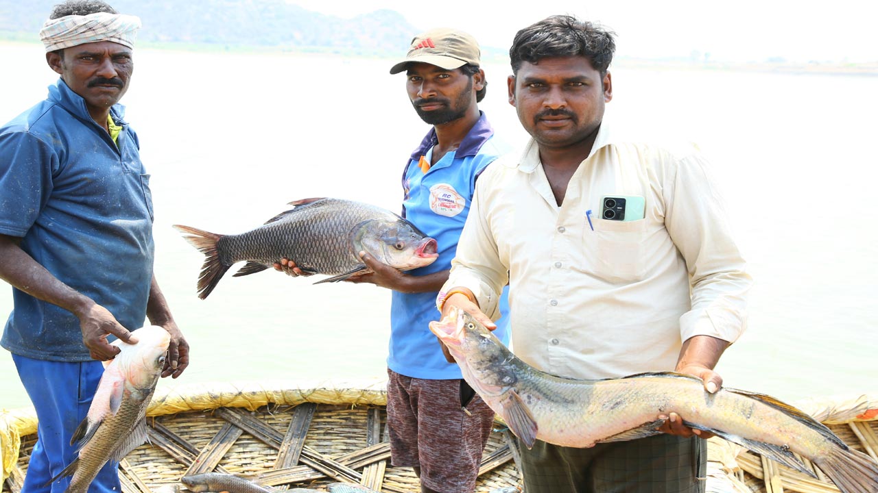 జలపుష్పాల జాతర