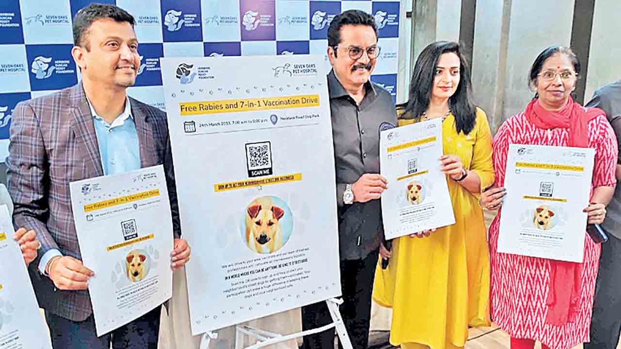 పెంపుడు జంతువులకు ప్రేమను పంచాలి