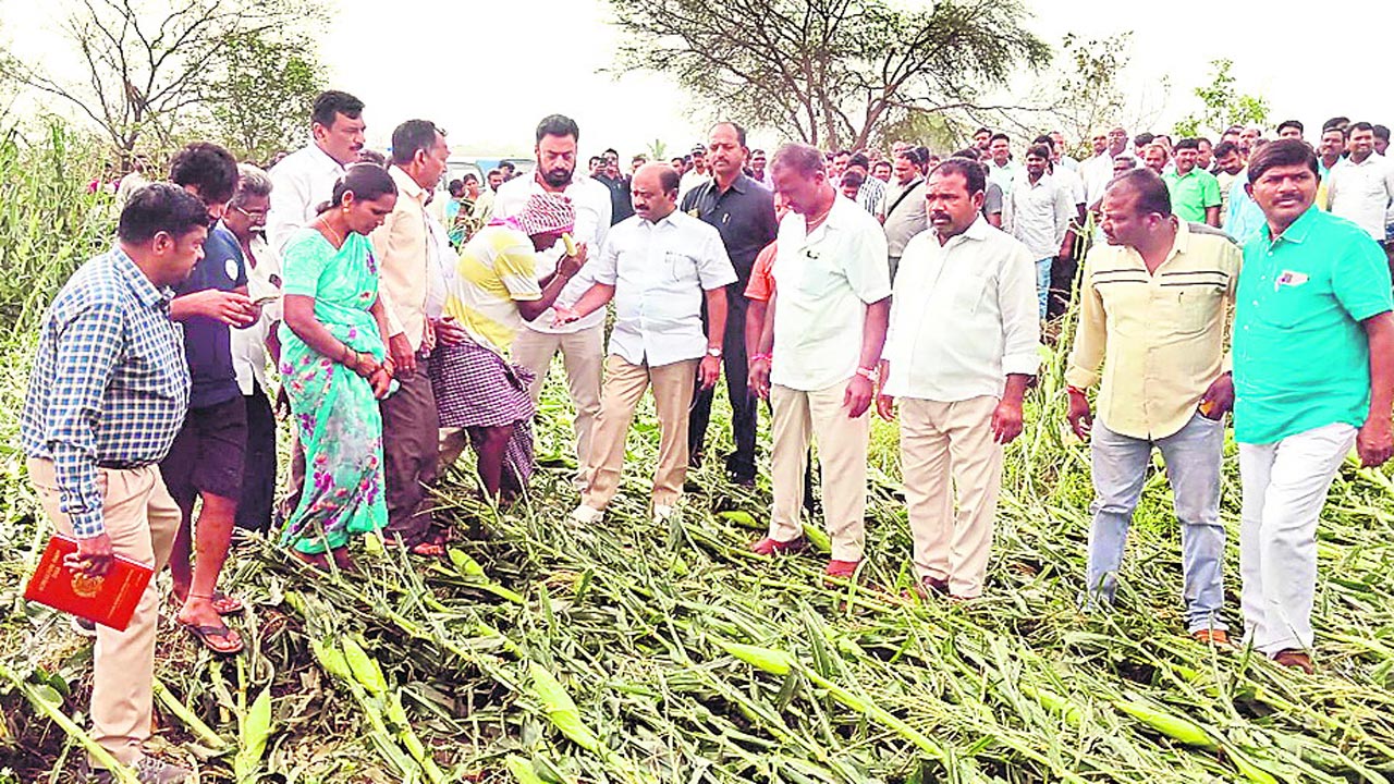 వడగండ్ల బాధితులకు భరోసా