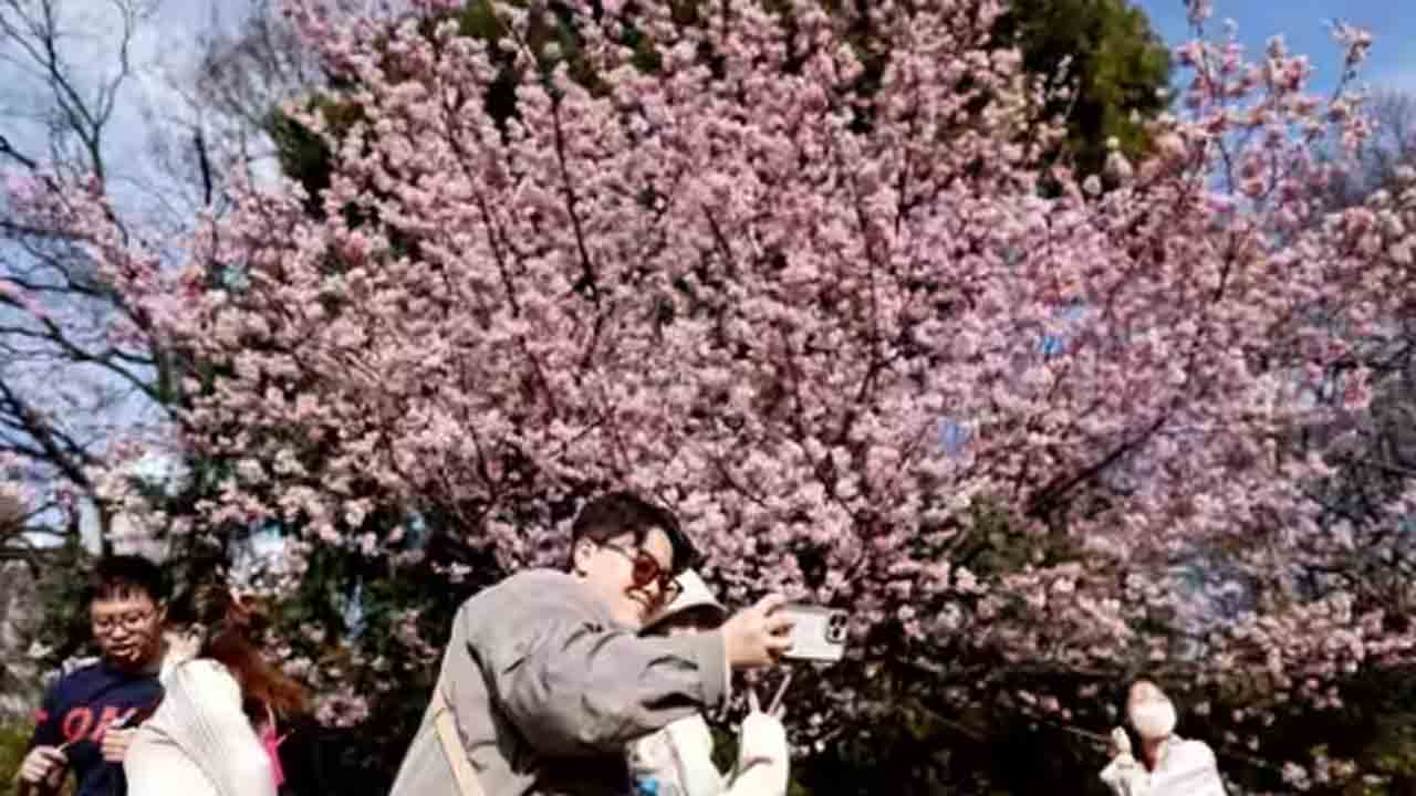 Japan New Islands | జపాన్‌కే తెలియని ఆ దేశ భూభాగం.. ఏడు వేల కొత్త దీవులను కనుగొన్నట్లు వెల్లడి