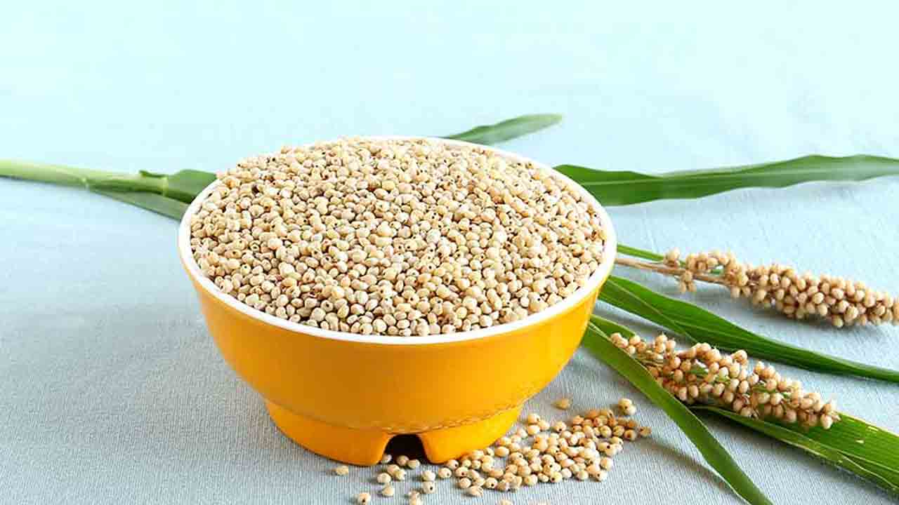 Jowar benefits | బీపీ, షుగర్‌ రోగులు బేఫికర్‌గా ఉండాలంటే.. డైలీ డైట్‌లో ఈ చిరుధాన్యం ఉండాల్సిందే..