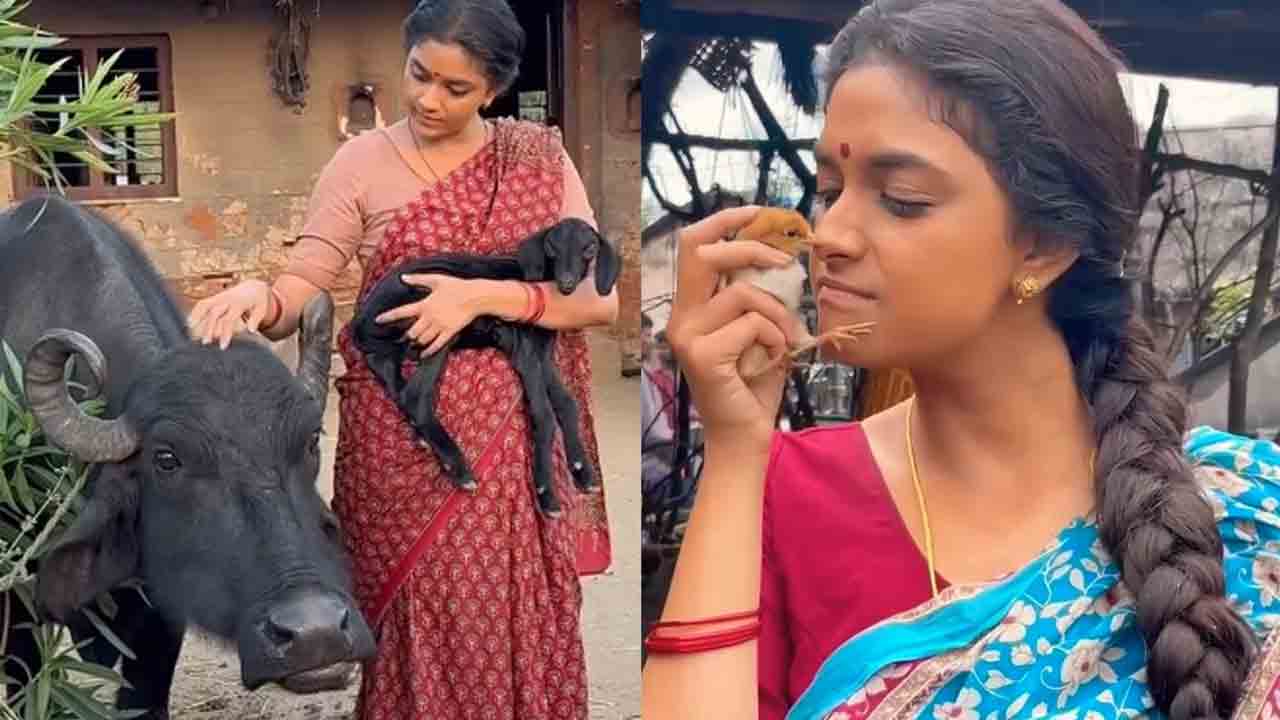 Keerthi suresh | దసరా సెట్‌లో పశువులతో కీర్తి సురేష్‌ దోస్తీ.. నెట్టింట వైరల్ అవుతున్న వీడియోలు