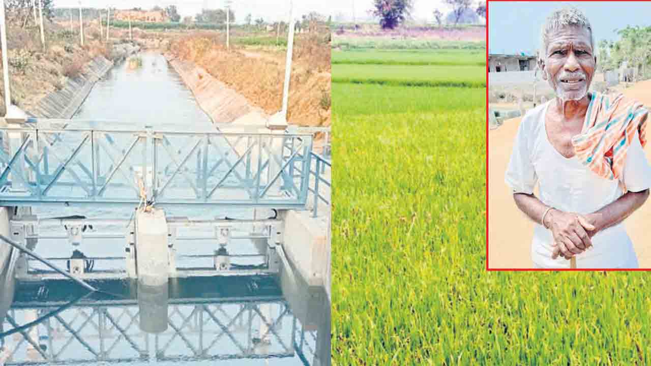 కాలువలు పారంగ.. రైతన్న మురవంగ..