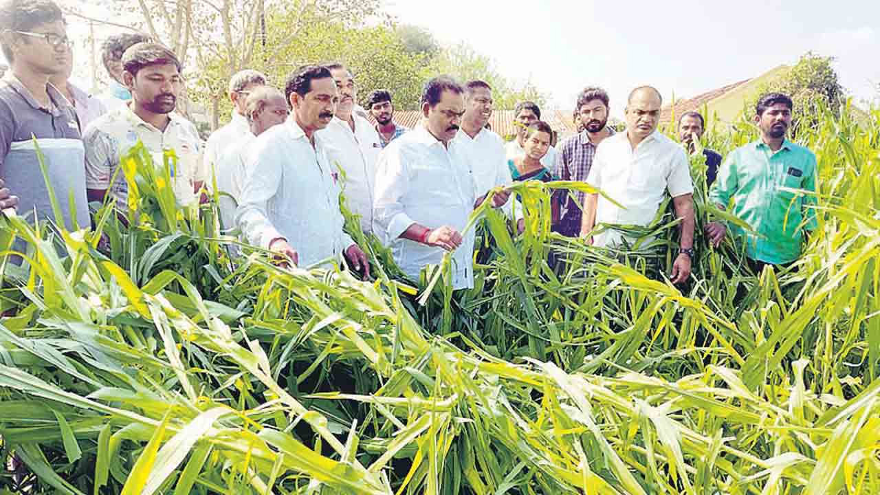 ప్రతి రైతునూ ఆదుకుంటాం