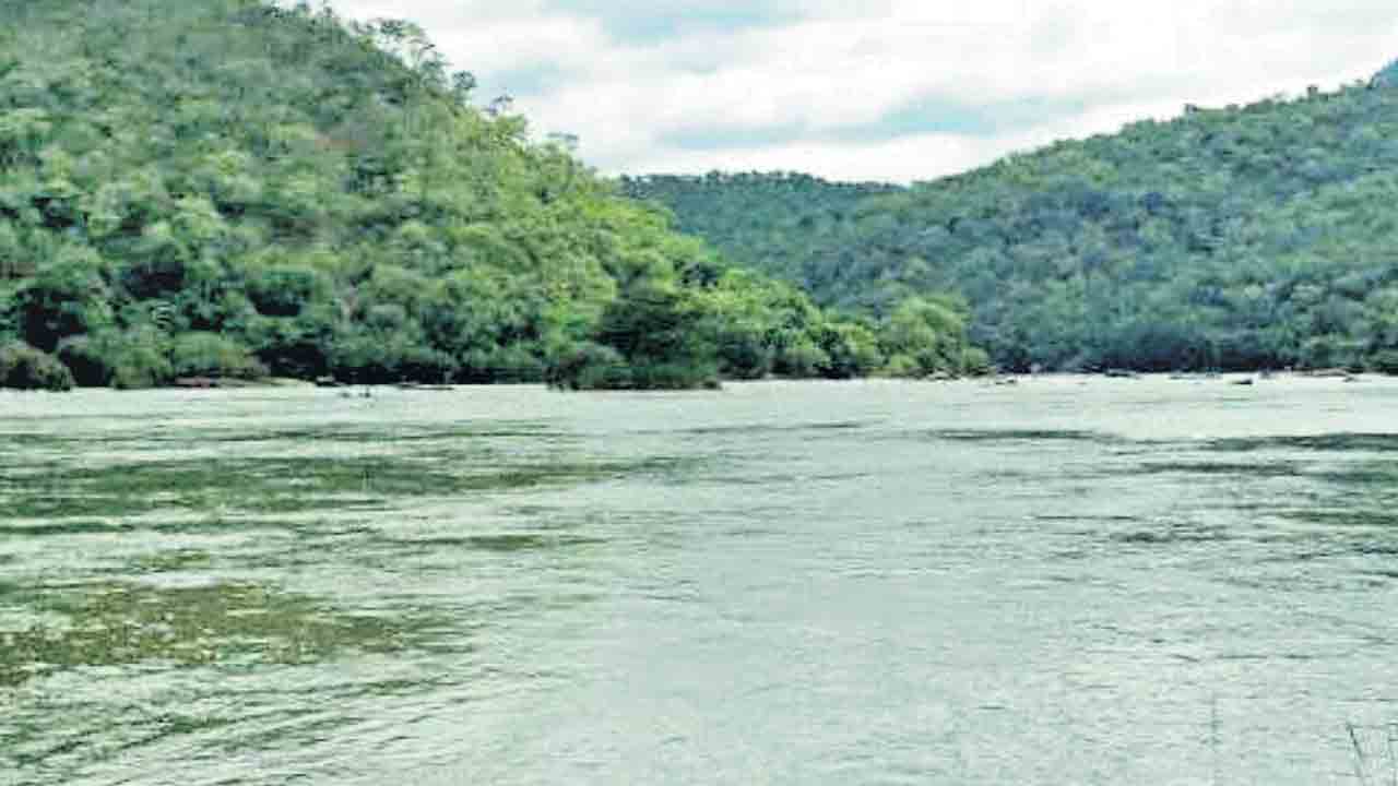 తెలంగాణ అవసరాలకే ప్రాధాన్యం