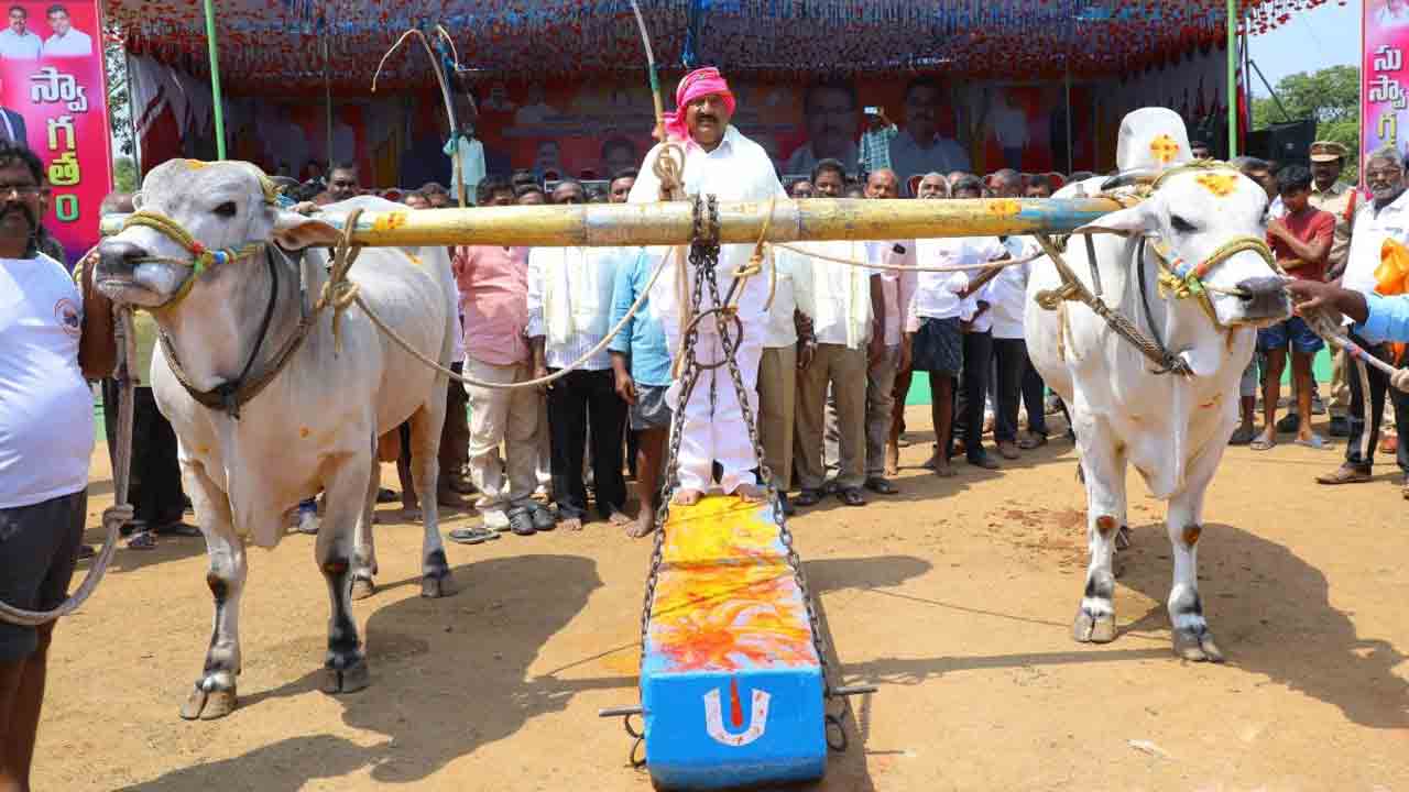 రైతులను ప్రోత్సహించేందుకే ఎద్దుల బల ప్రదర్మన పోటీలు