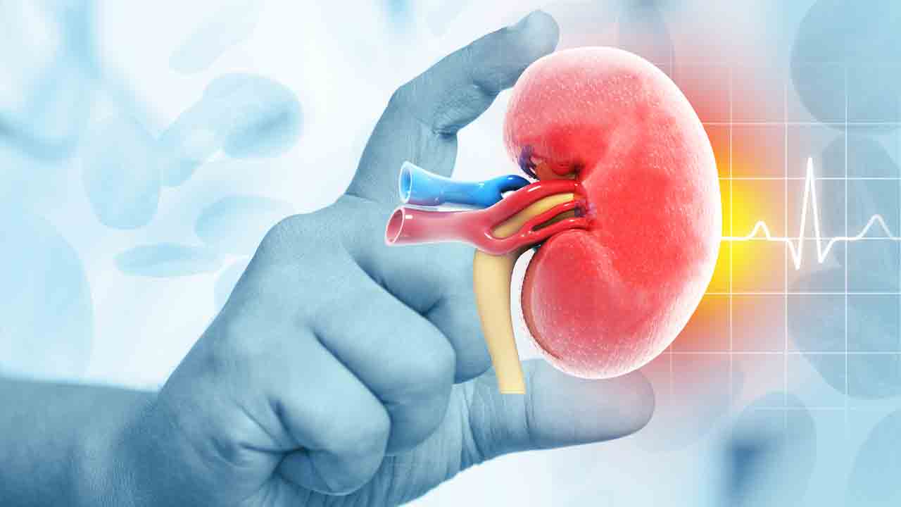 కిడ్నీ మార్పిడి కష్టం కాదు