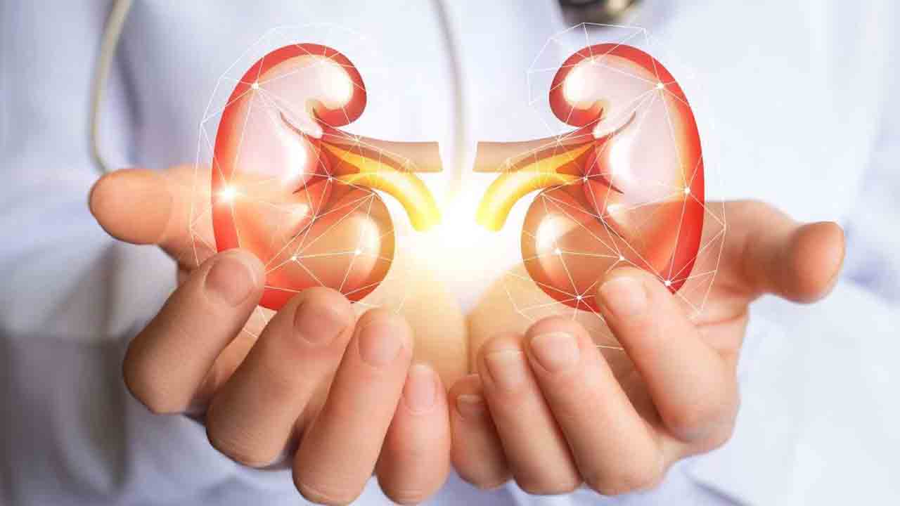 Summer | కిడ్నీల్లో రాళ్లు ఎండాకాలంలోనే ఎందుకు ఎక్కువగా వస్తాయి? ఈ సమస్య నుంచి ఎలా బయటపడాలి?