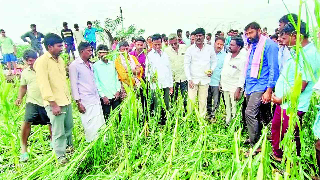 బాధిత రైతులకు అండగా ఉంటాం
