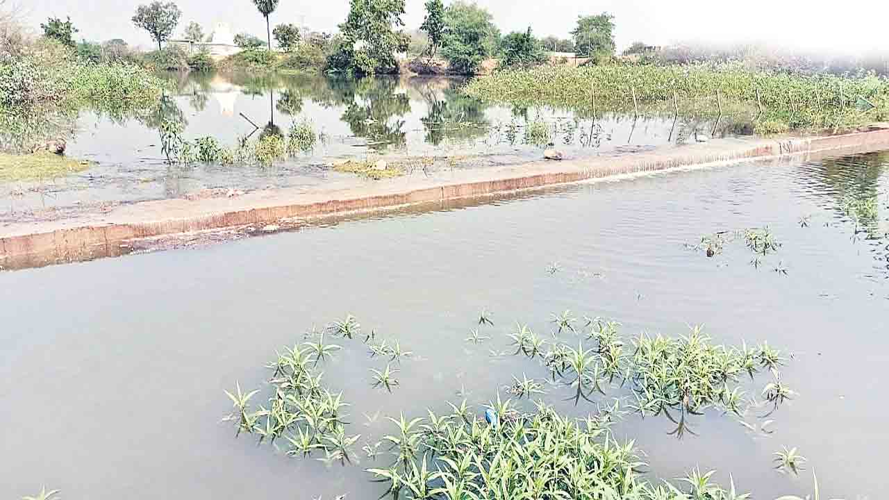 మండుటెండల్లో.. మత్తడి సంబురం