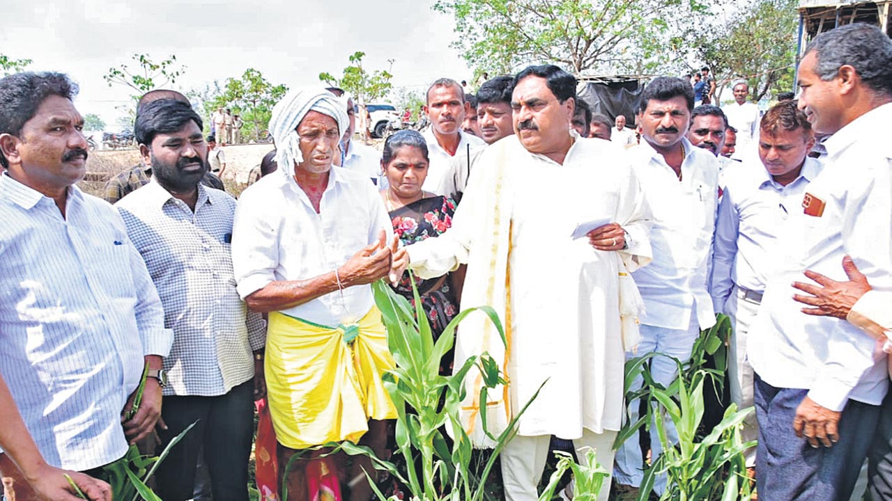 సర్వే నివేదికలు రాగానే పరిహారం