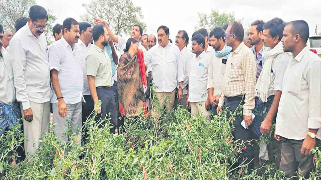పంటలన్నీ వర్షార్పణం