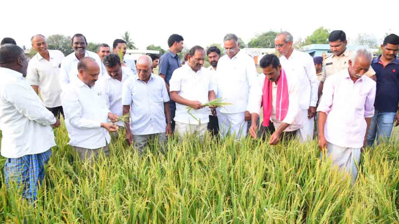 Minister Koppula Eshwar | పంట నష్టపోయిన రైతులకు అండగా ఉంటాం : మంత్రి కొప్పుల ఈశ్వర్‌