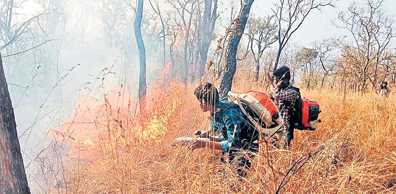 నల్లమలలో దావాగ్ని