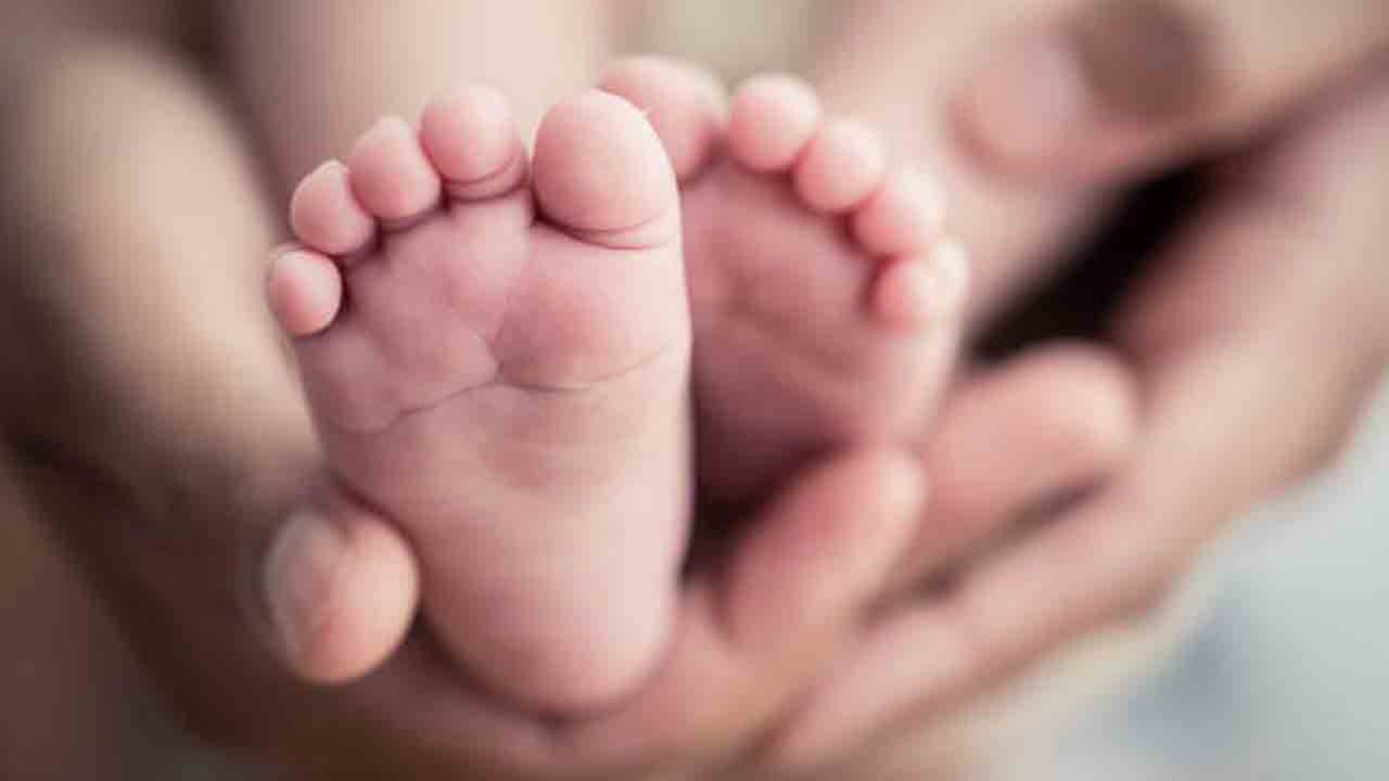 Rajanna Siricilla | రాజన్న సిరిసిల్ల జిల్లాలో విషాదం.. పసికందు మృతదేహాన్ని పీక్కుతిన్న కుక్కలు