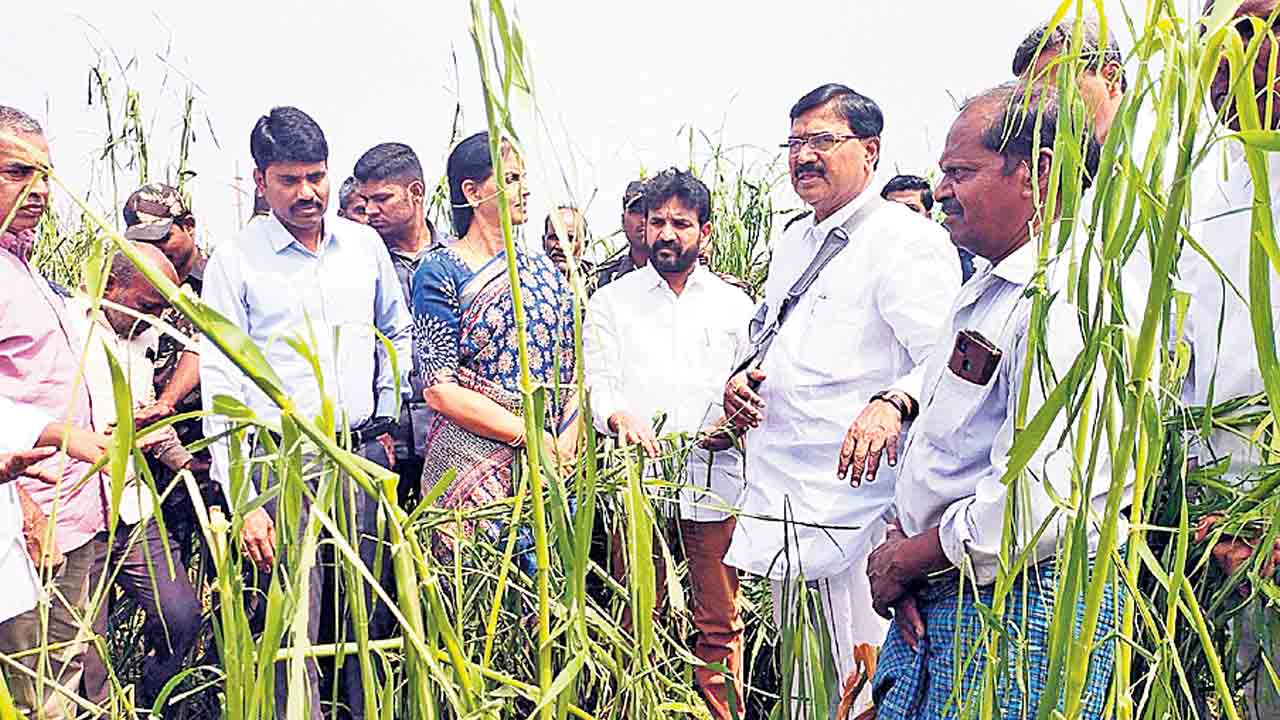 బాధిత రైతులకు.. సర్కార్‌ భరోసా