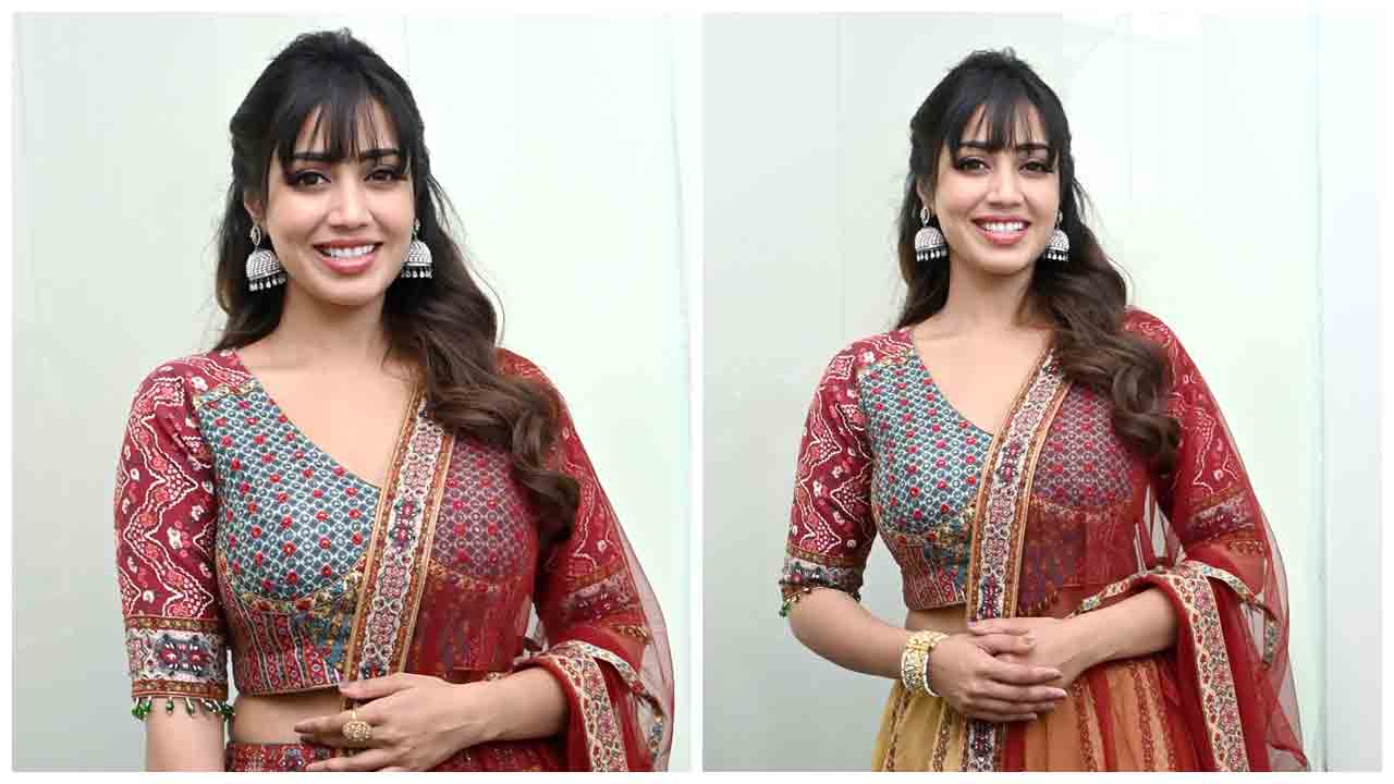 Nivetha Pethuraj | దాస్ కీ ధామ్కీ మూవీ ప్రెస్ మీట్‌లో నివేదా పేతురాజ్..