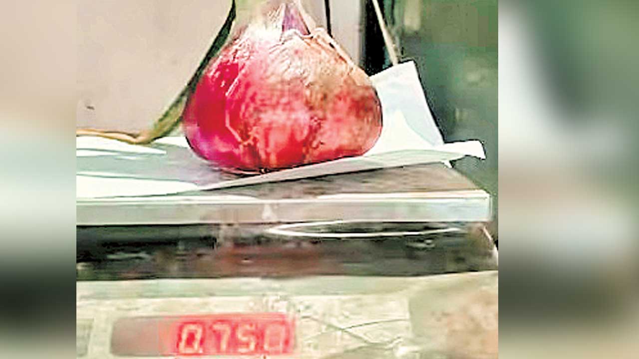 ఈ ఉల్లిగడ్డ బరువు 750 గ్రాములు