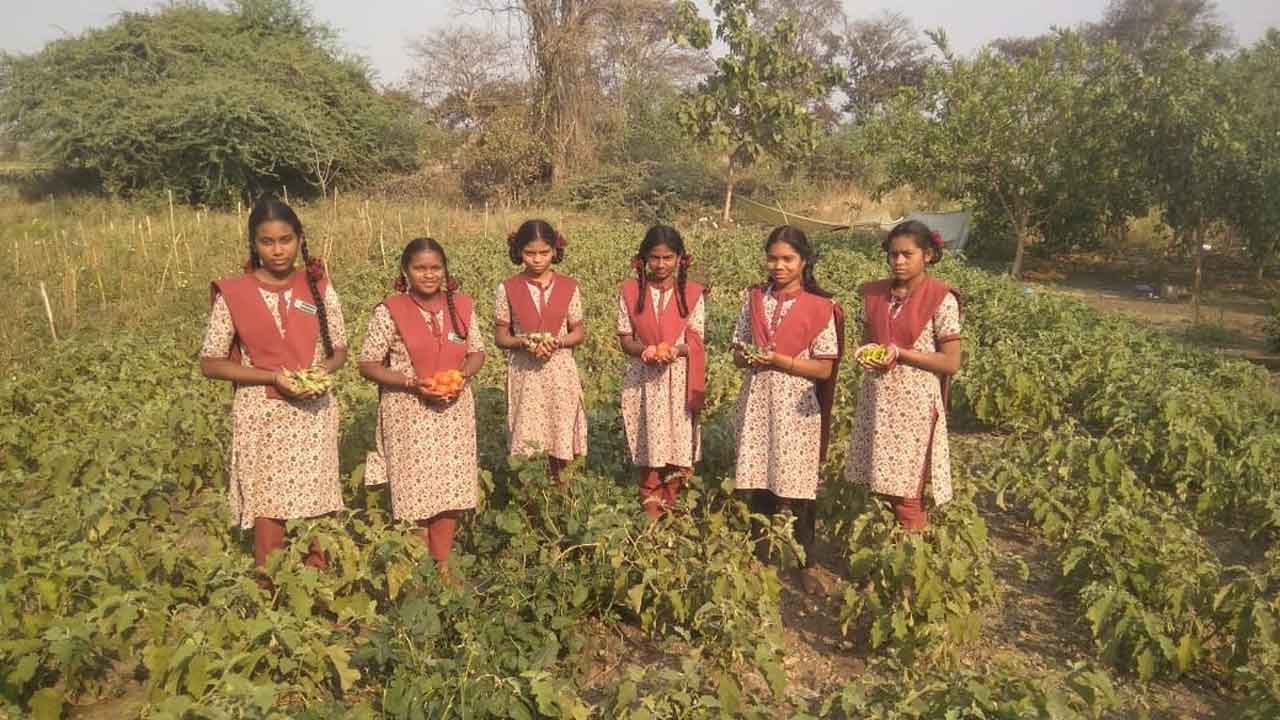 బడిలో ‘కిచెన్‌ గార్డెన్‌’