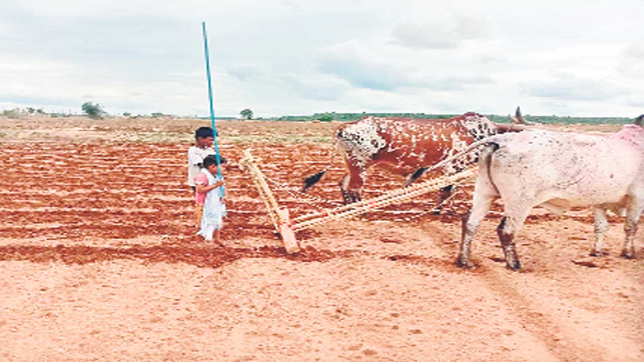 త్వరలో పోడు భూముల పట్టాభిషేకం