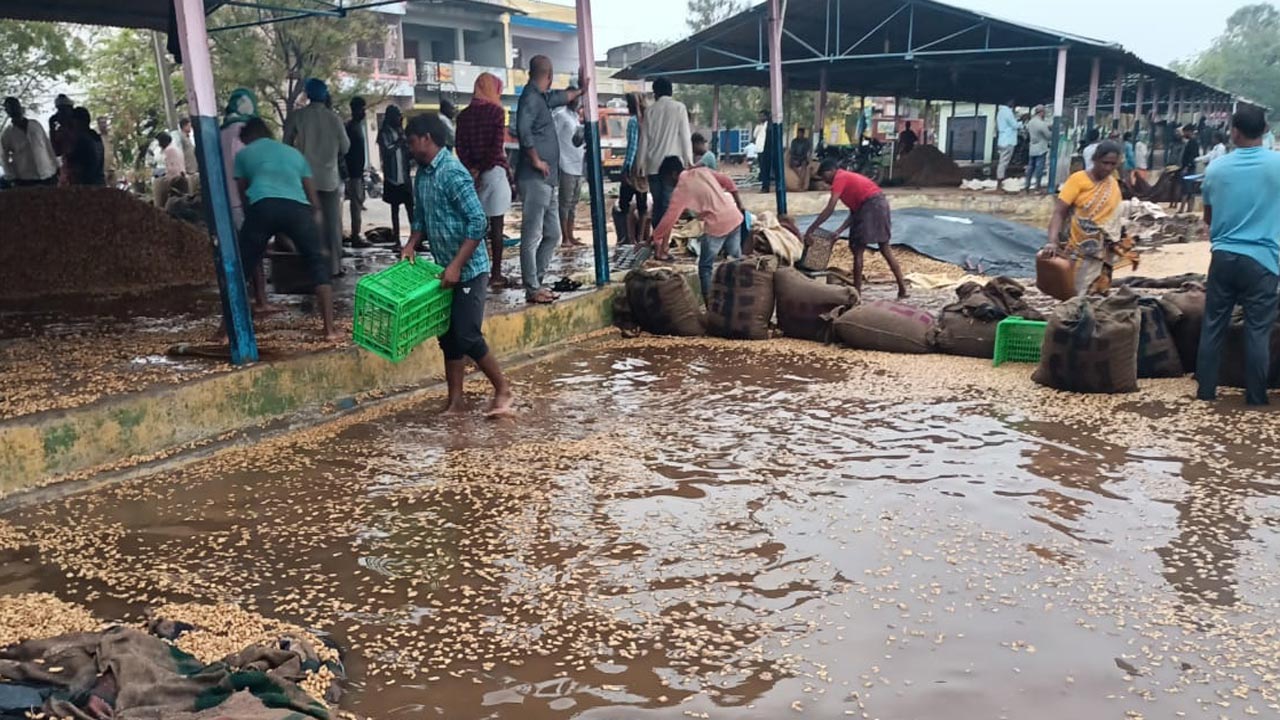 పంట వర్షార్పణం