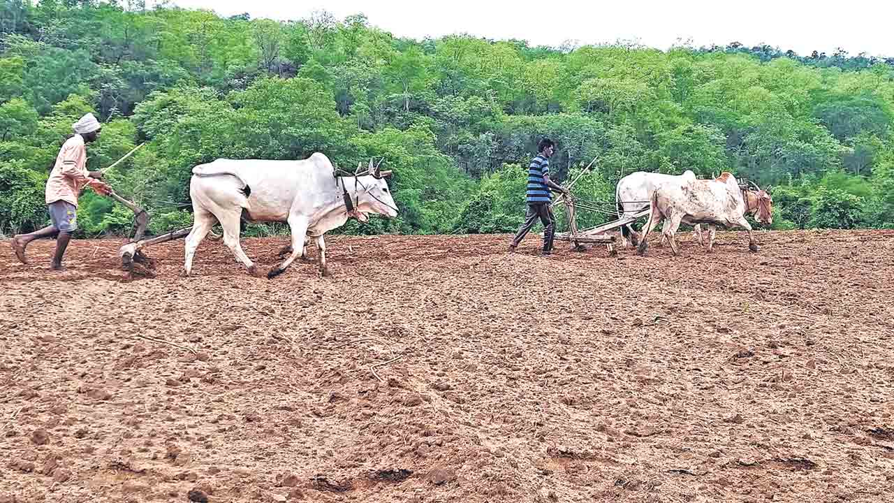 పాలిగన్‌ టెక్నాలజీతో పోడు పట్టాలు