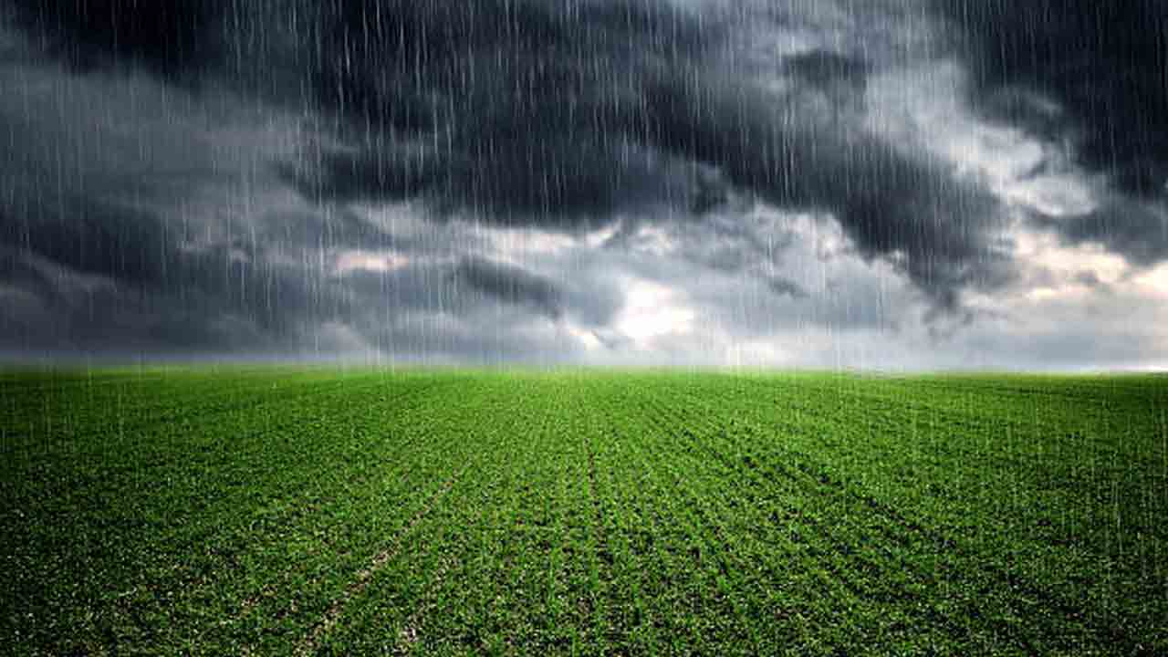 జిల్లాలో మోస్తరు వర్షం