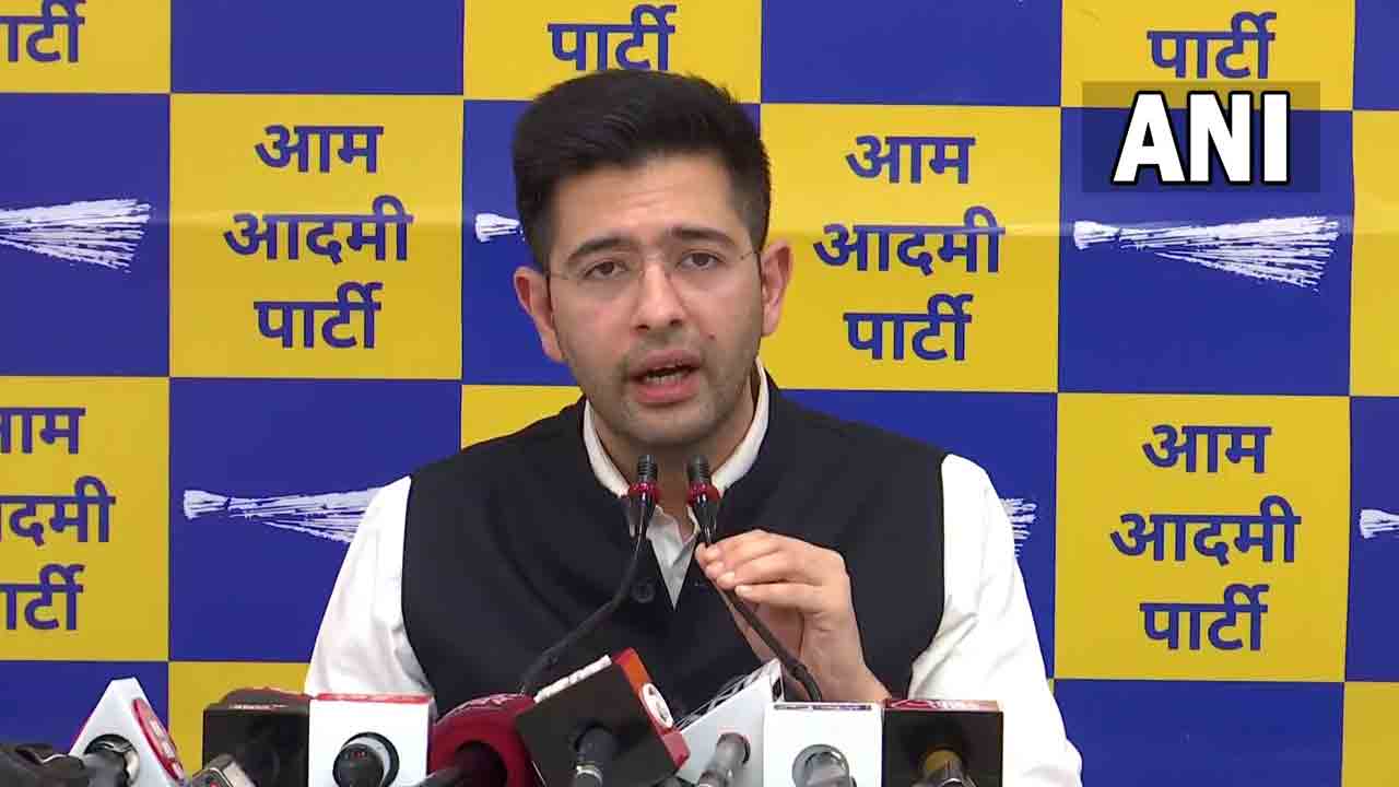 Political news |  ప్రతిపక్షమే లేని దేశమే బీజేపీ లక్ష్యం.. అధికార పార్టీపై ఆప్‌ ఎంపీ ఆగ్రహం