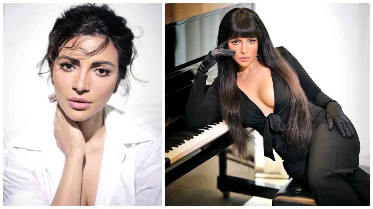 Shama Sikander | బ్లాక్ డ్రెస్‌లో హీటెక్కిస్తున్న షామా సికందర్..