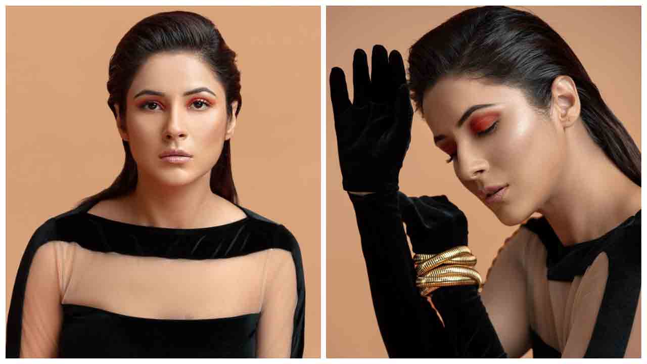 Shehnaaz Kaur Gill | కిర్రాక్ పోజుల‌తో మ‌తులు పోగొడుతున్న షెహ్నాజ్ కౌర్..