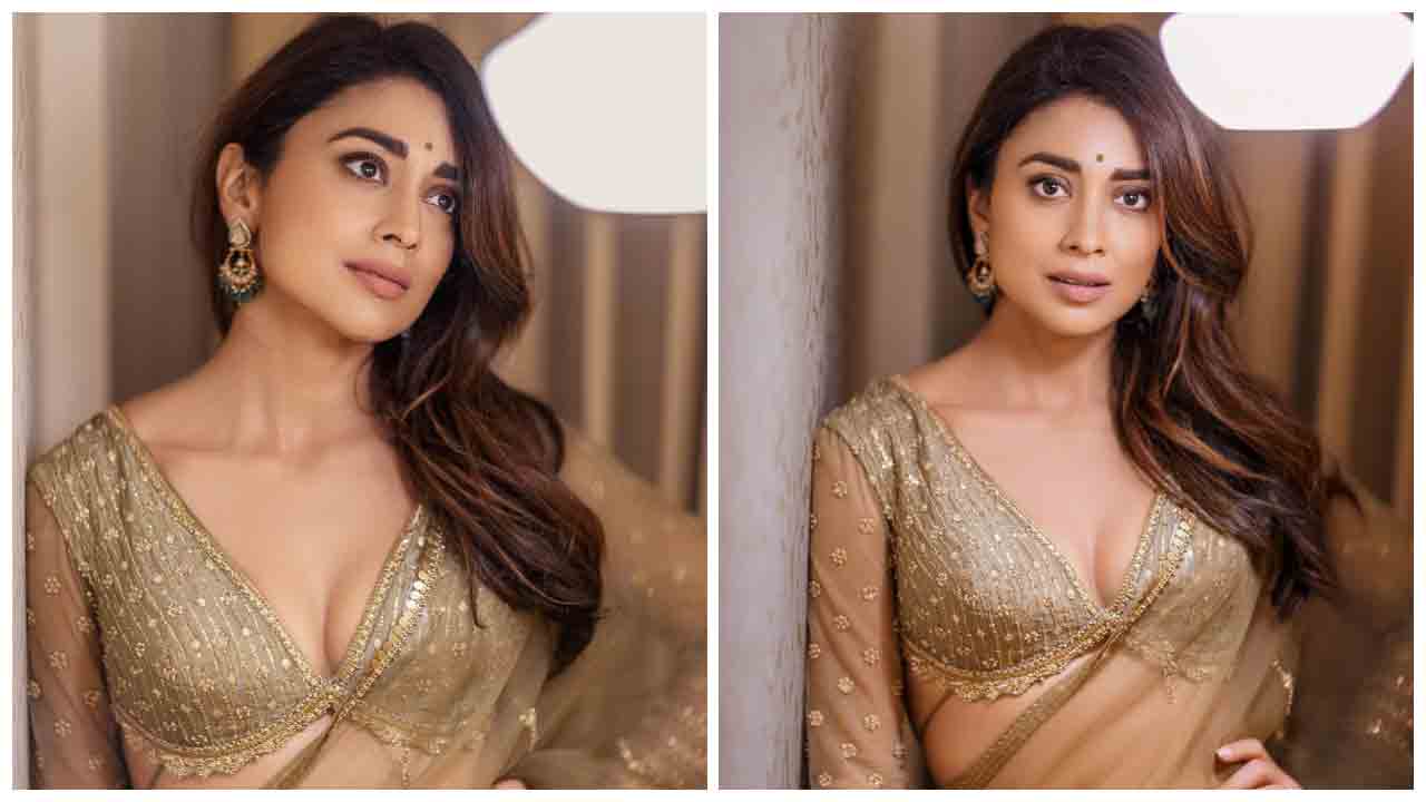Shriya Saran | చీరకట్టులో అందచందాలు ఒలకబోస్తున్న శ్రియా సరన్..