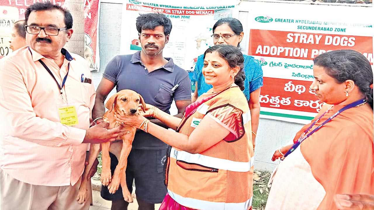 వీధి కుక్కల దత్తతకు విశేష స్పందన