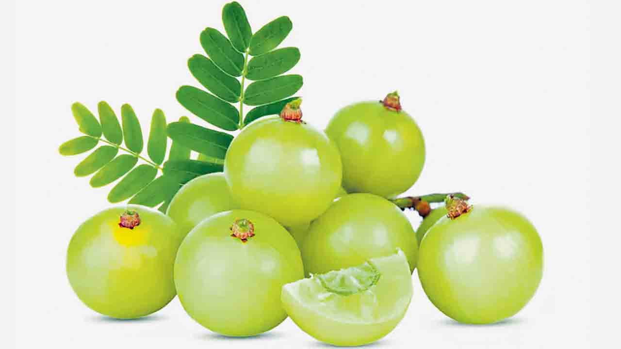 Pregnancy | గర్భిణులు ఉసిరికాయలు తినొచ్చా? ఏడోనెలలో తింటే కడుపులోని బిడ్డపై మచ్చలు ఏర్పడతాయా?