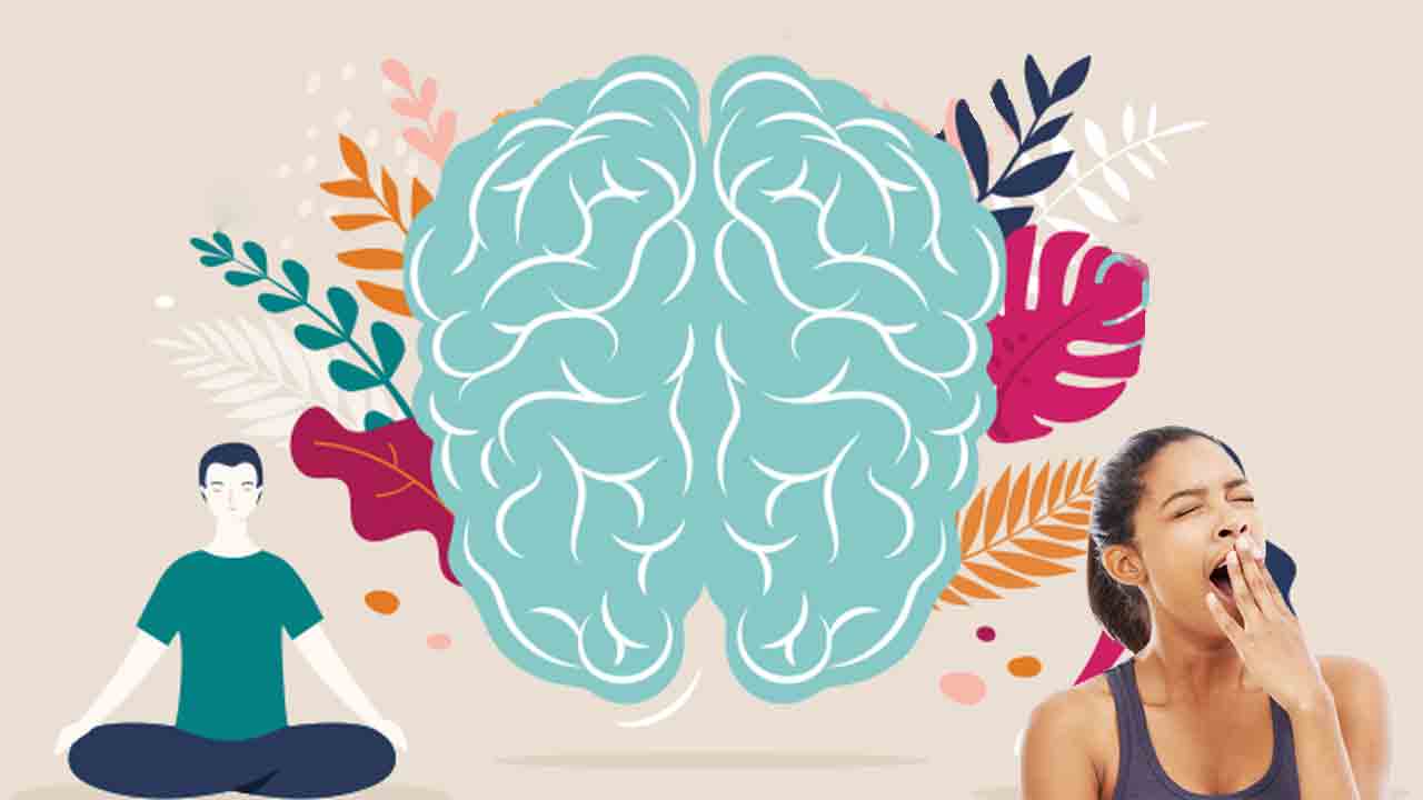 ఆవలింత… మెదడుకు తుళ్లింత