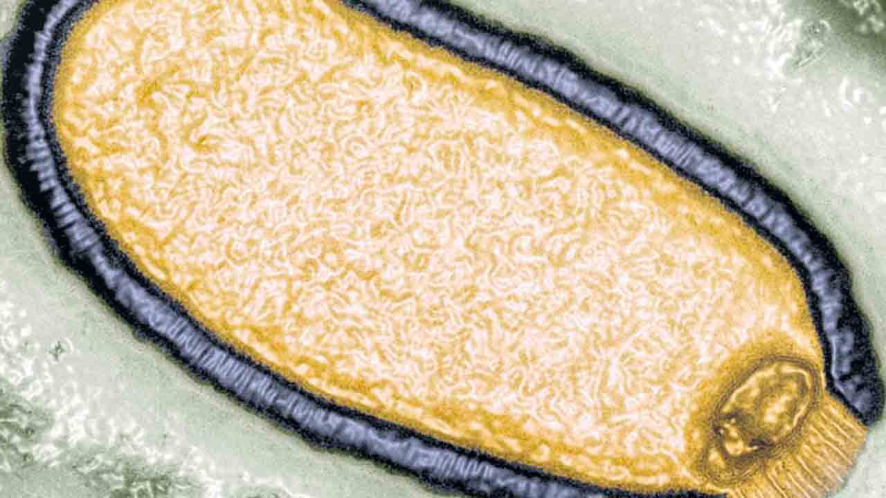 Zombie Virus | మనుషుల్ని జాంబీలుగా మార్చే వైరస్‌లు నిజమే.. 48వేల ఏండ్లుగా మంచులో బందీగా ఉన్నట్లు గుర్తించిన శాస్త్రవేత్తలు