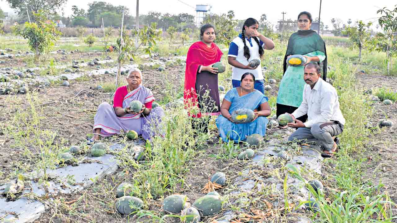 సార్గానికి సాయం