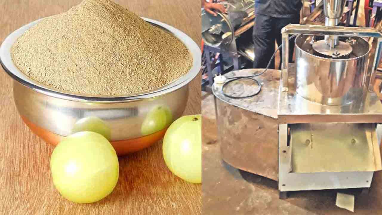 Amla Powder | ఉసిరి పొడి.. స‌రికొత్త రాబ‌డి.. అధునాతన టెక్నాలజీని ఆవిష్కరించిన సీఎఫ్‌టీఆర్‌ఐ