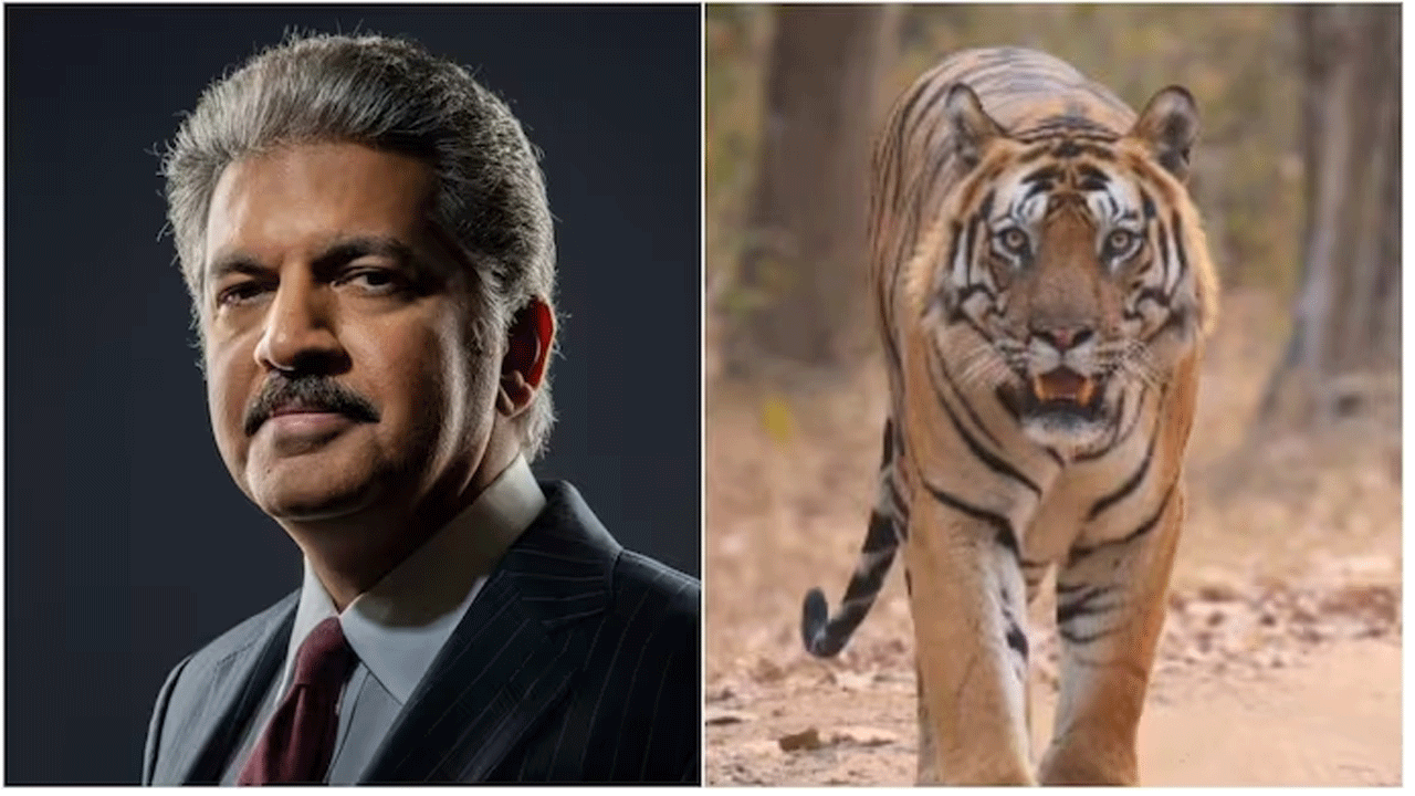 viral video | టైగ‌ర్‌లా విశ్వాసంతో ప‌నిలోకి అడుగేయండి : ఆనంద్ మ‌హీంద్ర‌